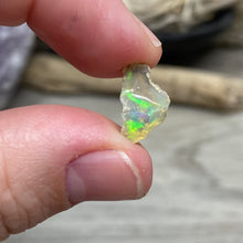 Bild in Galerie-Viewer laden, Welo Ethiopian Opal Small Rough Set #02