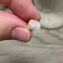 Bild in Galerie-Viewer laden, Welo Ethiopian Opal Small Rough Set #02
