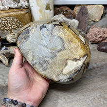 Load image into Gallery viewer, Septarian Large Bowl