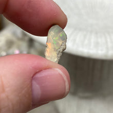 Bild in Galerie-Viewer laden, Welo Ethiopian Opal Small Rough Set #03
