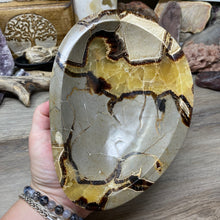 Load image into Gallery viewer, Septarian Large Bowl