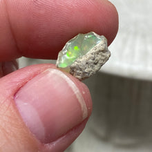 Bild in Galerie-Viewer laden, Welo Ethiopian Opal Small Rough Set #03