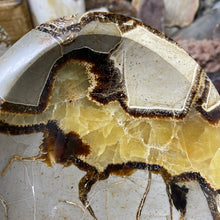 Load image into Gallery viewer, Septarian Large Bowl