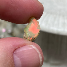 Bild in Galerie-Viewer laden, Welo Ethiopian Opal Small Rough Set #03