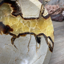 Load image into Gallery viewer, Septarian Large Bowl