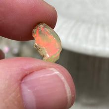 Bild in Galerie-Viewer laden, Welo Ethiopian Opal Small Rough Set #03