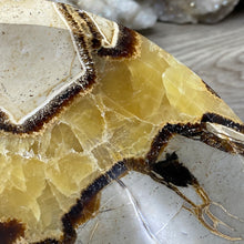 Load image into Gallery viewer, Septarian Large Bowl