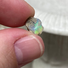 Bild in Galerie-Viewer laden, Welo Ethiopian Opal Small Rough Set #03