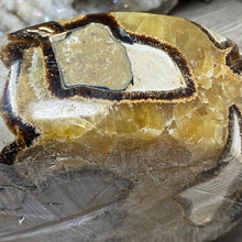 Load image into Gallery viewer, Septarian Large Bowl