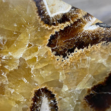 Load image into Gallery viewer, Septarian Large Bowl