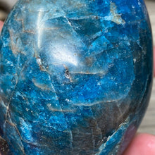 Bild in Galerie-Viewer laden, Blue Apatite Freeform #04