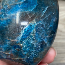 Bild in Galerie-Viewer laden, Blue Apatite Freeform #04