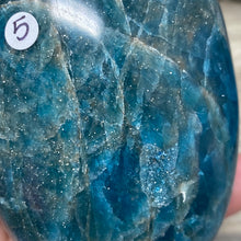 Bild in Galerie-Viewer laden, Blue Apatite Freeform #05