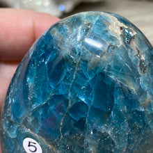 Bild in Galerie-Viewer laden, Blue Apatite Freeform #05
