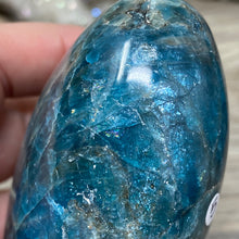 Bild in Galerie-Viewer laden, Blue Apatite Freeform #05