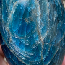 Bild in Galerie-Viewer laden, Blue Apatite Freeform #05