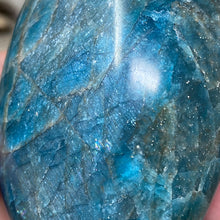 Bild in Galerie-Viewer laden, Blue Apatite Freeform #05