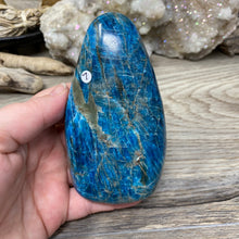Bild in Galerie-Viewer laden, Blue Apatite Freeform #07