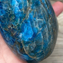Bild in Galerie-Viewer laden, Blue Apatite Freeform #07