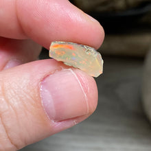 Bild in Galerie-Viewer laden, Welo Ethiopian Opal Small Rough Set #06