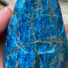 Bild in Galerie-Viewer laden, Blue Apatite Freeform #07