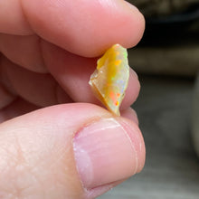 Bild in Galerie-Viewer laden, Welo Ethiopian Opal Small Rough Set #06