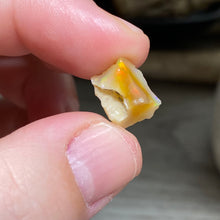 Bild in Galerie-Viewer laden, Welo Ethiopian Opal Small Rough Set #06