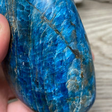 Bild in Galerie-Viewer laden, Blue Apatite Freeform #07