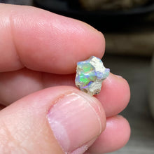 Bild in Galerie-Viewer laden, Welo Ethiopian Opal Small Rough Set #06
