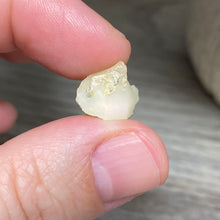 Bild in Galerie-Viewer laden, Welo Ethiopian Opal Small Rough Set #07