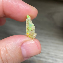 Bild in Galerie-Viewer laden, Welo Ethiopian Opal Small Rough Set #08