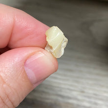Bild in Galerie-Viewer laden, Welo Ethiopian Opal Small Rough Set #08