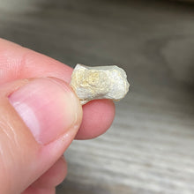 Bild in Galerie-Viewer laden, Welo Ethiopian Opal Small Rough Set #08