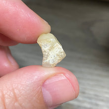 Bild in Galerie-Viewer laden, Welo Ethiopian Opal Small Rough Set #08