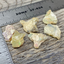 Bild in Galerie-Viewer laden, Welo Ethiopian Opal Small Rough Set #10