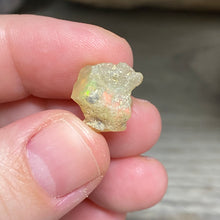 Bild in Galerie-Viewer laden, Welo Ethiopian Opal Small Rough Set #10