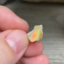 Bild in Galerie-Viewer laden, Welo Ethiopian Opal Small Rough Set #10