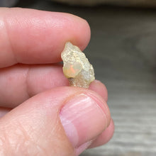 Bild in Galerie-Viewer laden, Welo Ethiopian Opal Small Rough Set #10