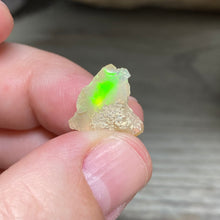 Bild in Galerie-Viewer laden, Welo Ethiopian Opal Small Rough Set #10