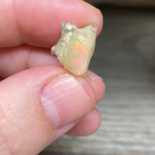 Bild in Galerie-Viewer laden, Welo Ethiopian Opal Small Rough Set #10