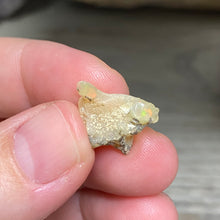 Bild in Galerie-Viewer laden, Welo Ethiopian Opal Small Rough Set #10