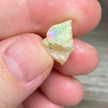 Bild in Galerie-Viewer laden, Welo Ethiopian Opal Small Rough Set #11