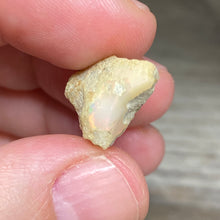 Bild in Galerie-Viewer laden, Welo Ethiopian Opal Small Rough Set #11