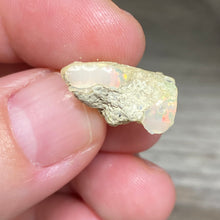 Bild in Galerie-Viewer laden, Welo Ethiopian Opal Small Rough Set #11