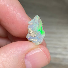 Bild in Galerie-Viewer laden, Welo Ethiopian Opal Small Rough Set #11