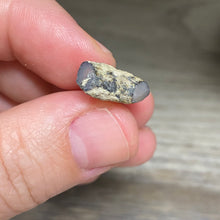 Bild in Galerie-Viewer laden, Welo Ethiopian Opal Small Rough Set #11