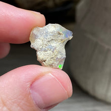 Bild in Galerie-Viewer laden, Welo Ethiopian Opal Small Rough Set #13