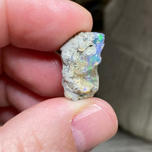 Bild in Galerie-Viewer laden, Welo Ethiopian Opal Small Rough Set #13