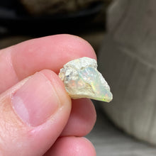Bild in Galerie-Viewer laden, Welo Ethiopian Opal Small Rough Set #13