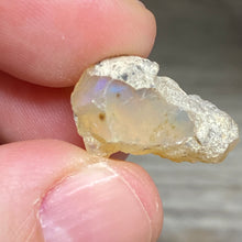 Bild in Galerie-Viewer laden, Welo Ethiopian Opal Small Rough Set #14